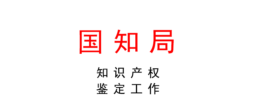國(guó)家知識(shí)產(chǎn)權(quán)局關(guān)于加強(qiáng)知識(shí)產(chǎn)權(quán)鑒定工作的指導(dǎo)意見(jiàn)
