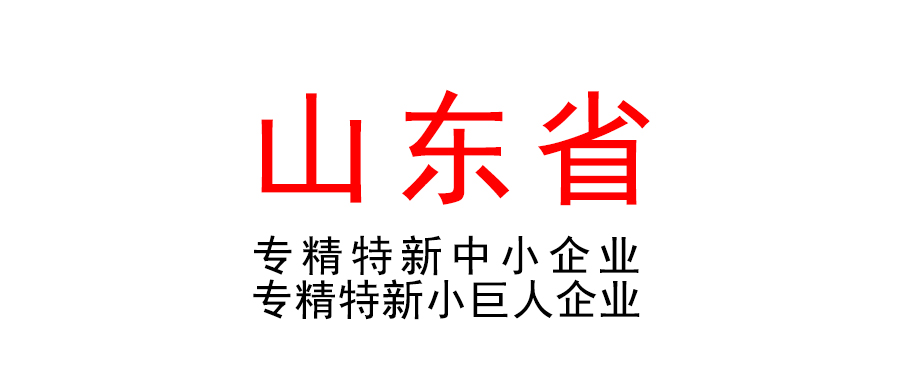 山東省關于開展2023年度專精特新中小企業(yè)培育認定和專精特新“小巨人”企業(yè)申報（復核）推薦工作的通知